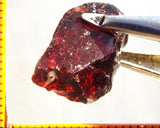 Garnet - Red - Tanzania - 16.55 cts - Ref. MG/76