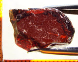 Garnet - Red - Tanzania - 16.55 cts - Ref. MG/76
