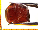Garnet - Red - Tanzania - 17.22 cts - Ref. MG/77   SOLD