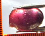 Garnet - Rhodolite- Tanzania 22.83 cts - Ref. RG/74