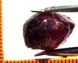 Garnet - Rhodolite- Tanzania 24.47 cts - Ref. RG/80 - THIS PARCEL HAS BEEN RESERVED