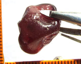 Garnet - Rhodolite- Tanzania 20.76 cts - Ref. RG/83