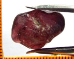 Garnet - Rhodolite- Tanzania 20.76 cts - Ref. RG/83