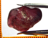 Garnet - Rhodolite- Tanzania 20.76 cts - Ref. RG/83