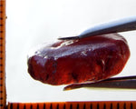 Garnet - Rhodolite - Tanzania 17.70 cts - Ref. RG/93