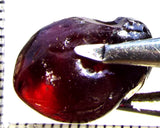 Garnet - Rhodolite- Tanzania 23.92 cts - Ref. RG/120