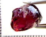Garnet - Rhodolite- Tanzania 16.38 cts - Ref. RG/122