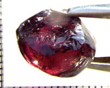 Garnet - Rhodolite- Tanzania 16.38 cts - Ref. RG/122