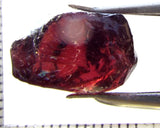 Garnet - Rhodolite- Tanzania 15.73 cts - Ref. RG/124