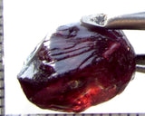 Garnet - Rhodolite- Tanzania 15.73 cts - Ref. RG/124