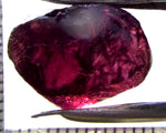 Garnet - Rhodolite- Tanzania 18.98 cts - Ref. RG/125