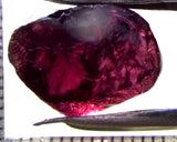 Garnet - Rhodolite- Tanzania 18.98 cts - Ref. RG/125