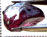 Garnet - Rhodolite- Tanzania 15.56 cts - Ref. RG/126