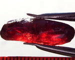 Garnet – Umba – Tanzania 16.60 cts - Ref. MG/55
