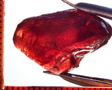 Garnet – Umba – Tanzania 18.64 cts - Ref. MG/58