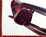 Garnet – Umba – Tanzania 16.12 cts - Ref. MG/66