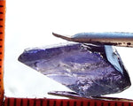 Iolite - India - 8.83 cts - Ref. IL/14