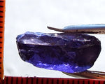 Iolite - India - 8.86 cts - Ref. IL/15
