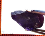 Iolite - India - 11.26 cts - Ref. IL/21