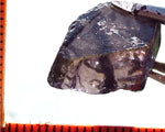 Iolite - India - 11.26 cts - Ref. IL/21