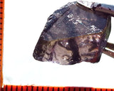 Iolite - India - 11.26 cts - Ref. IL/21