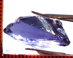 Iolite - India - 11.78 cts - Ref. IL/30