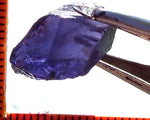 Iolite - India - 11.78 cts - Ref. IL/30