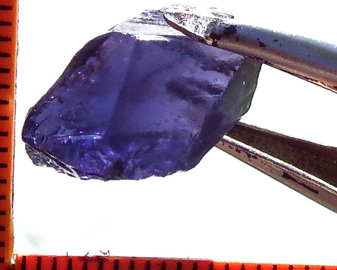 Iolite - India - 11.78 cts - Ref. IL/30