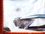 Iolite - India – 7.27 cts - Ref. IL/37
