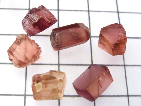 Tourmaline – Mozambique - Total weight 26.47 cts - Ref. MZ/66