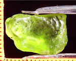 Peridot – China/Afghanistan – 11.82 cts - Ref. PR-42