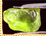 Peridot – China/Afghanistan – 11.82 cts - Ref. PR-42