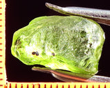 Peridot – China/Afghanistan – 11.82 cts - Ref. PR-42