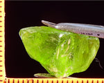 Peridot – China/Afghanistan – 20.64 cts - Ref. PR-44