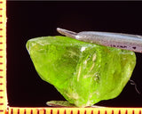 Peridot – China/Afghanistan – 20.64 cts - Ref. PR-44