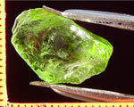 Peridot – China/Afghanistan – 12.65 cts - Ref. PR-47