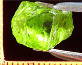 Peridot – China/Afghanistan – 12.44 cts - Ref. PR-51