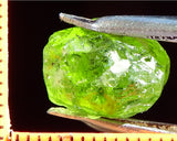 Peridot – China/Afghanistan – 10.87 cts - Ref. PR-58