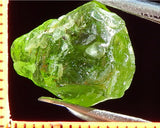 Peridot – China/Afghanistan – 10.87 cts - Ref. PR-58
