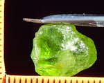 Peridot – China/Afghanistan – 13.70 cts - Ref. PR-67