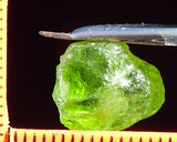 Peridot – China/Afghanistan – 13.70 cts - Ref. PR-67