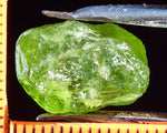 Peridot – China/Afghanistan – 13.70 cts - Ref. PR-67