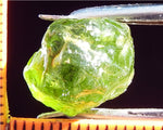 Peridot – China/Afghanistan – 11.43 cts - Ref. PR-69