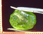 Peridot – China/Afghanistan – 15.29 cts - Ref. PR-78