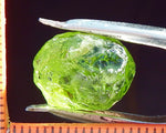 Peridot – China/Afghanistan – 15.29 cts - Ref. PR-78