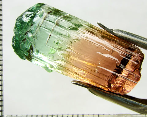 Tourmaline , tri-colour – Mozambique – 30.49 cts - Ref. TOB-528