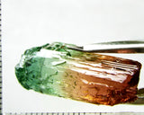 Tourmaline , tri-colour – Mozambique – 30.49 cts - Ref. TOB-528