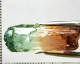 Tourmaline , tri-colour – Mozambique – 30.49 cts - Ref. TOB-528