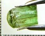 Tourmaline – Nigeria – 6.21 cts - Ref. TOB-551
