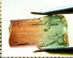 Tourmaline , tri-colour – Mozambique – 13.92 cts - Ref. TOB-588 - THIS STONE HAS BEEN RESERVED.